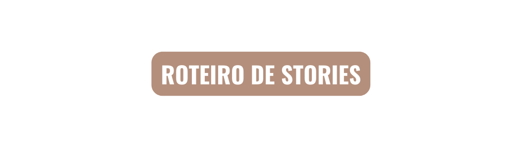 ROTEIRO DE STORIES